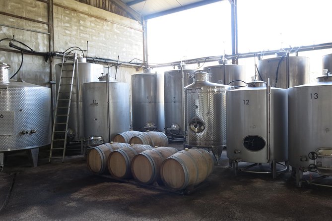 Vino Venture: Explore With a Local - Troodos Mountains Thru Wine! - Pickup Details