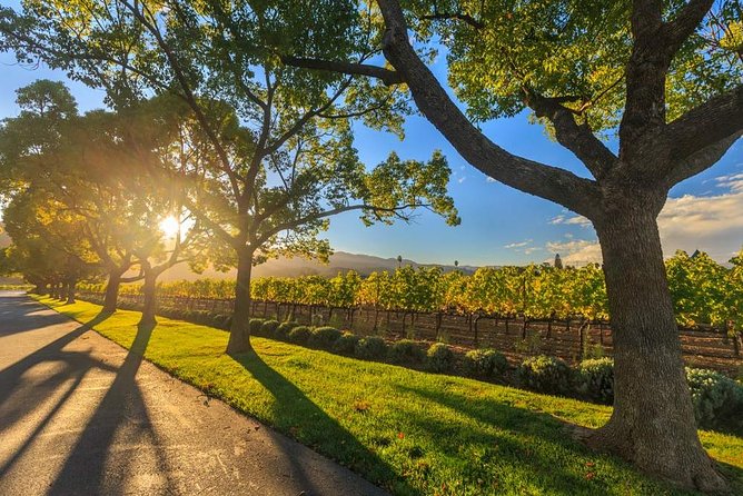 VIP Swan Valley Wine Tour - Premium Small Group Wine & Gourmet Experience - Meet Your Expert Tour Guide