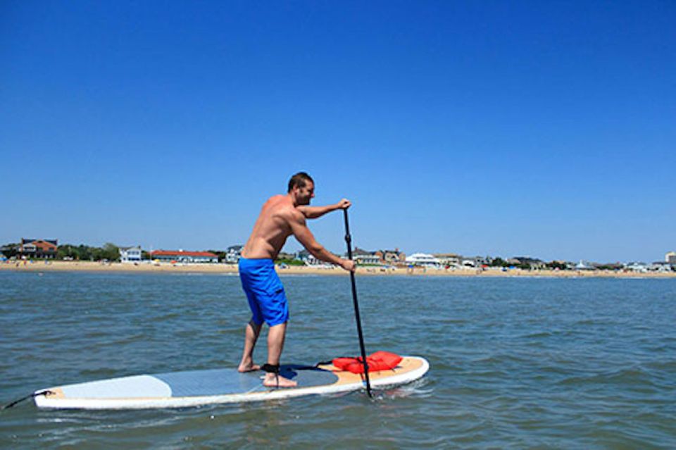 Virginia Beach: Dolphin Stand-Up Paddleboard Tour - Chesapeake Bay Scenery