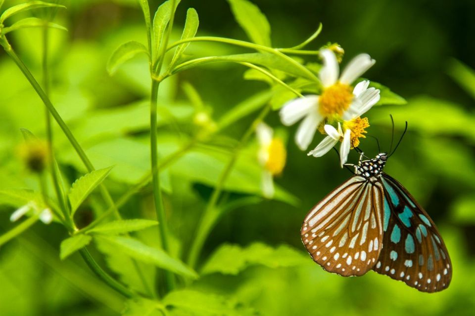 Visit Cuc Phuong National Park: Day Trip From Ha Noi - Trip Duration and Pricing