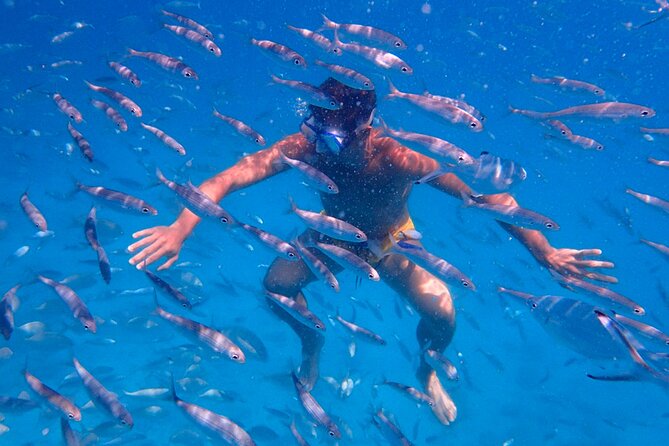 Visit Lobos Island With Snorkel From Corralejo, Fuerteventura - Exploring Volcanic Landscapes