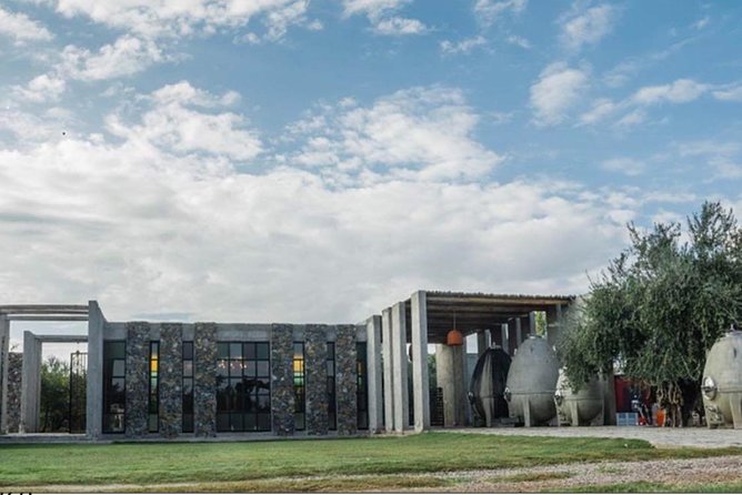 Visit Trapiche+Lunch El Enemigo (Michelin). Private Transfer - Private Transfer Details