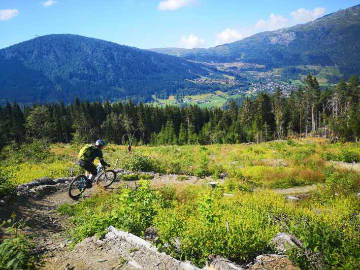 Voss - Mountain Bike – Bømoem Forest - Mountain Biking Experience