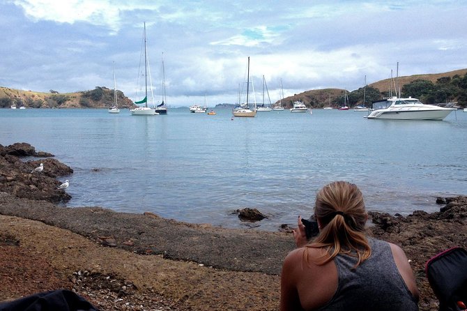 Waiheke Island Double Headland Coastal Walk - Tour Inclusions and Benefits