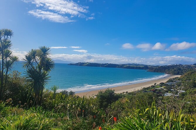 Waiheke Island Half Day Scenic Wine and Lunch - Wine Tasting Experience