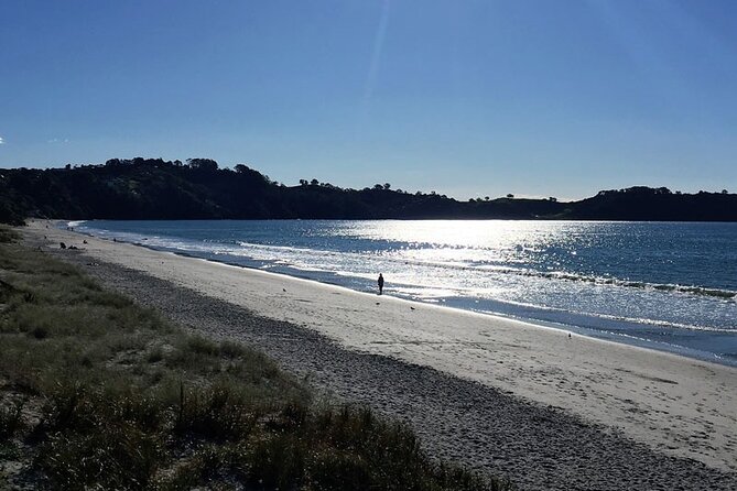 Waiheke Island Private Bush and Beach Walk - Meeting Point and Pickup