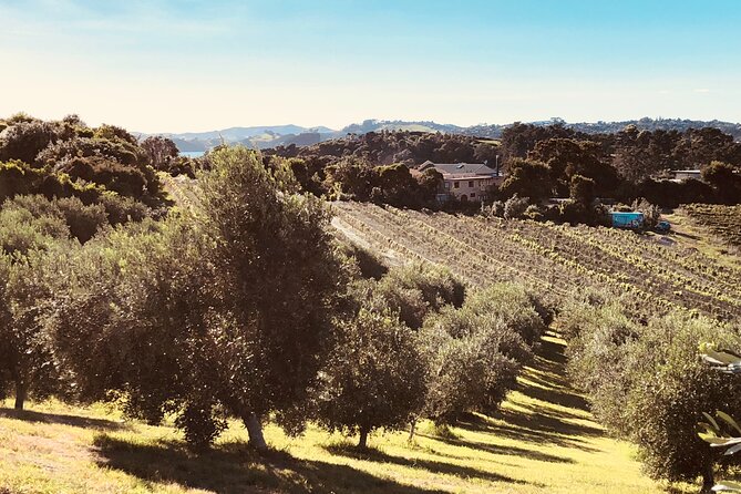 Waiheke Island: Sip & Savour Tour - Itinerary Highlights