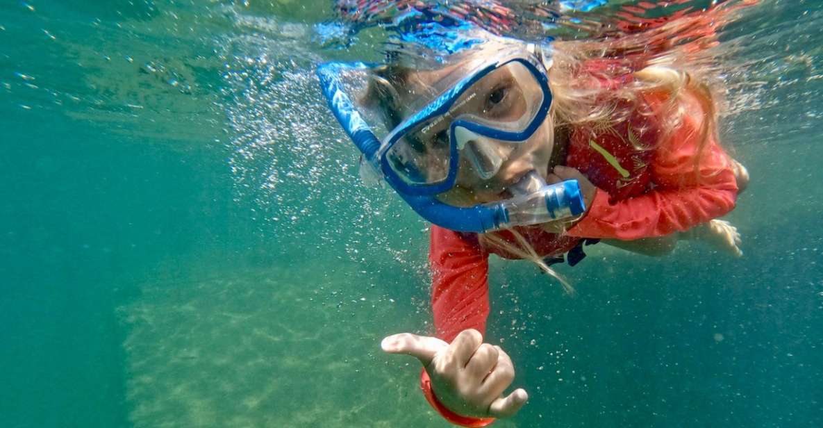 Waikiki: Honolulu Beginner Snorkeling Tour With Videos - Activity Details