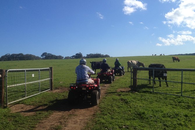 Waitpinga Farm Quad Bike Adventure Tour - What to Expect on the Tour