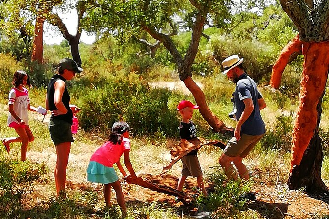 Walk on the Alentejo Cork Forest With Optional Lunch - Highlights of the Tour
