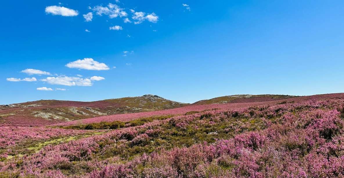 Walk & Picnic Peneda-Gerês National Park - Guided - Discovering Verdant Hillsides