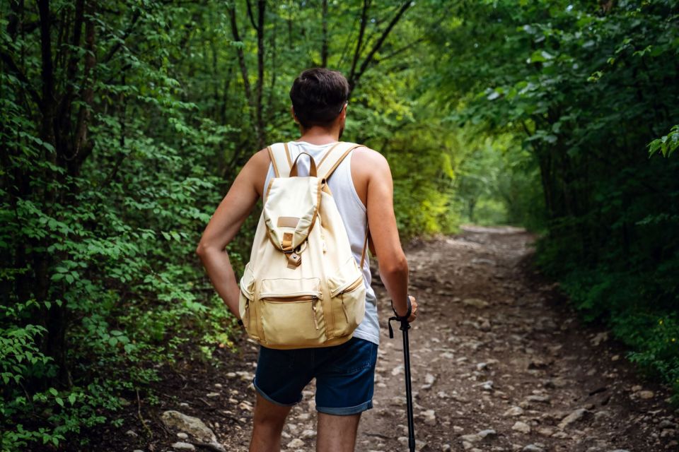 Walk to the Big Rock in Cantareira State Park - Getting to Cantareira State Park