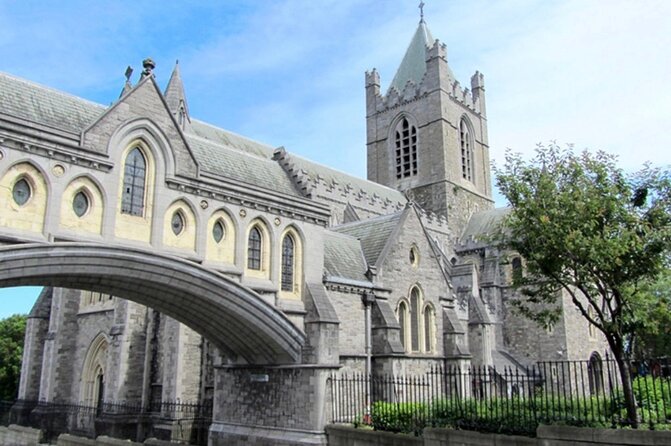 Walking Tour of Dublin'S Viking/Medieval Quarter With a Viking - Meet Your Knowledgeable Guide