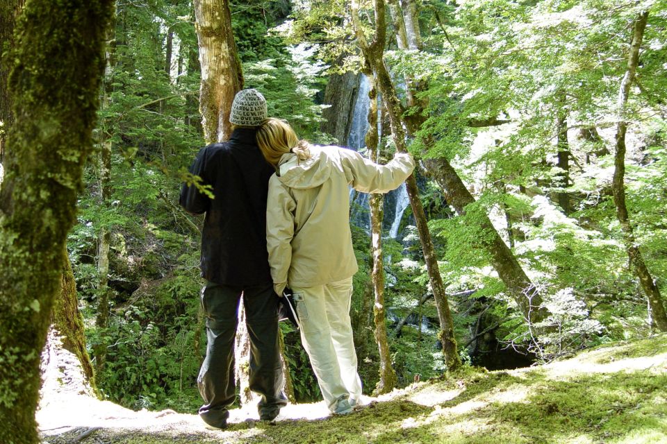 Wanaka: Jet Boat & Wilderness Walk - Inclusions