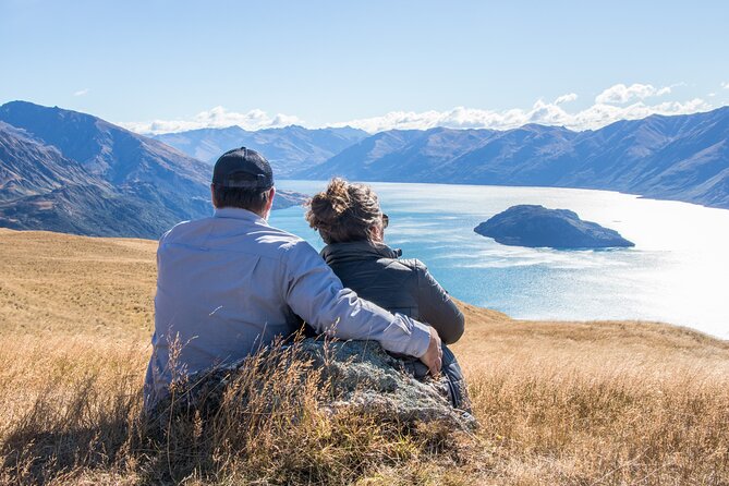 Wanaka Nature Encounter: Lake Cruise and 4WD Safari - Highlights of the Tour