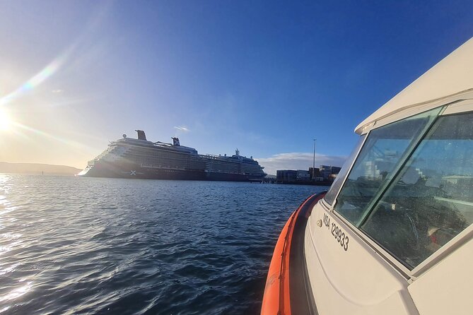 Water Taxi and Shuttle to Larnach Castle - Tour Experience Overview