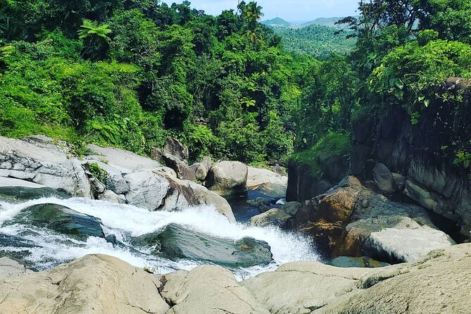 Waterfall Hike in Remote Area of El Yunque Rainforest; San Juan - What to Expect on the Hike
