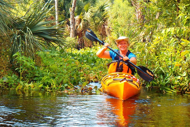 Wekiva River Guided Kayak Tour - Wildlife Encounter Highlights