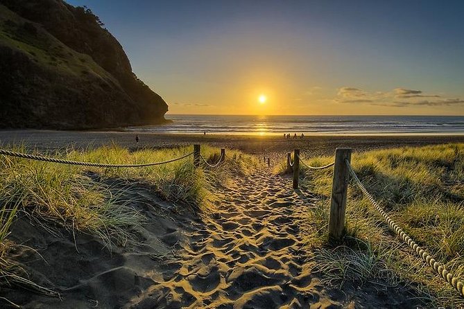 West Coast Discovery - Piha Beach or Muriwai Beach From Auckland - Attractions at Muriwai Beach