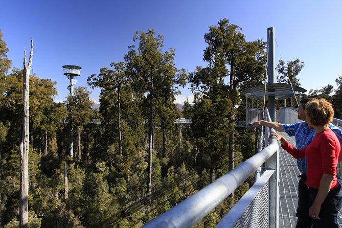 West Coast Tree Top Walk Experience - Admission Information