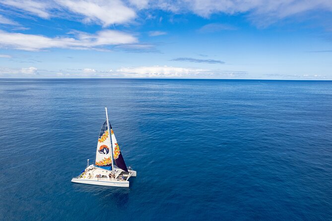 West Oahu Hawaiian Green Sea Turtle, Dolphin Snorkel Sail W Lunch - Inclusions and Amenities