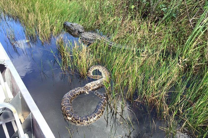 Western Everglades Adventure Tour - Inclusions and Amenities