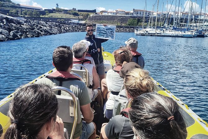Whale and Dolphin Watching on Tercera Island - The Water4fun Experience
