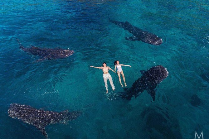 Whale Shark Snorkeling W/ Tumalog Falls & Canyoneering in Kawasan - Tumalog Falls Visit
