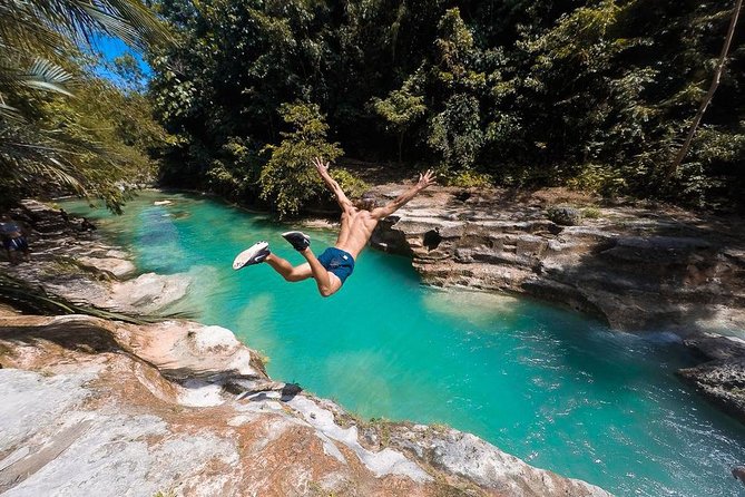 Whale Shark Watching & Tumalog Falls & Kawasan Falls - Itinerary Details