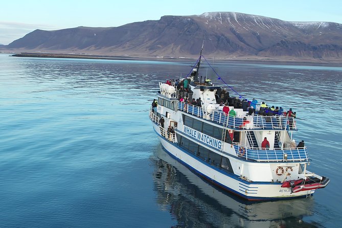 Whale-Watching Boat Tour With Expert Guide From Reykjavik - Meeting and Departure Details