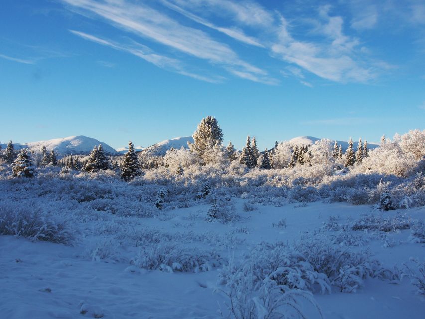 Whitehorse: Half-Day Snowshoeing Tour - Inclusions and Exclusions