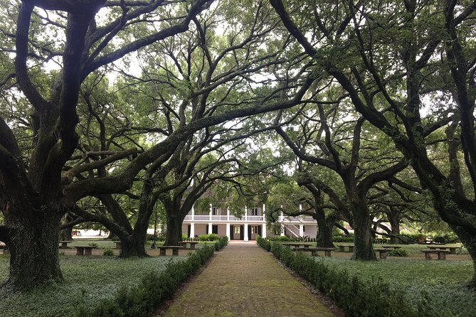 Whitney Plantation and Airboat Tour From New Orleans - Airboat Swamp Adventure