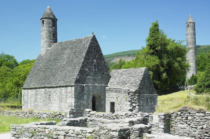 Wicklow & Glendalough Day Tour With Sheepdog Demo From Dublin - Ascend the Aerial Walkway at Avondale