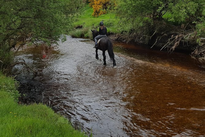 Wicklow Mountains Horse Trekking - Location Details