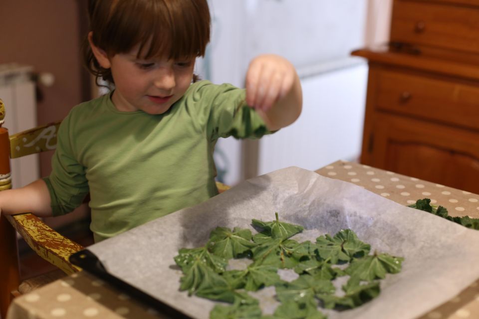 Wild Experience: Discover, Cook & Eat the Local Wild Flora - Discover Nutritional Properties