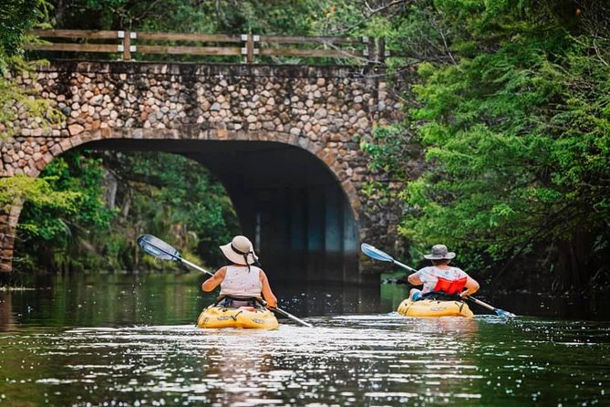 Wild & Scenic Loxahatchee River Guided Tour - Wildlife Encounters