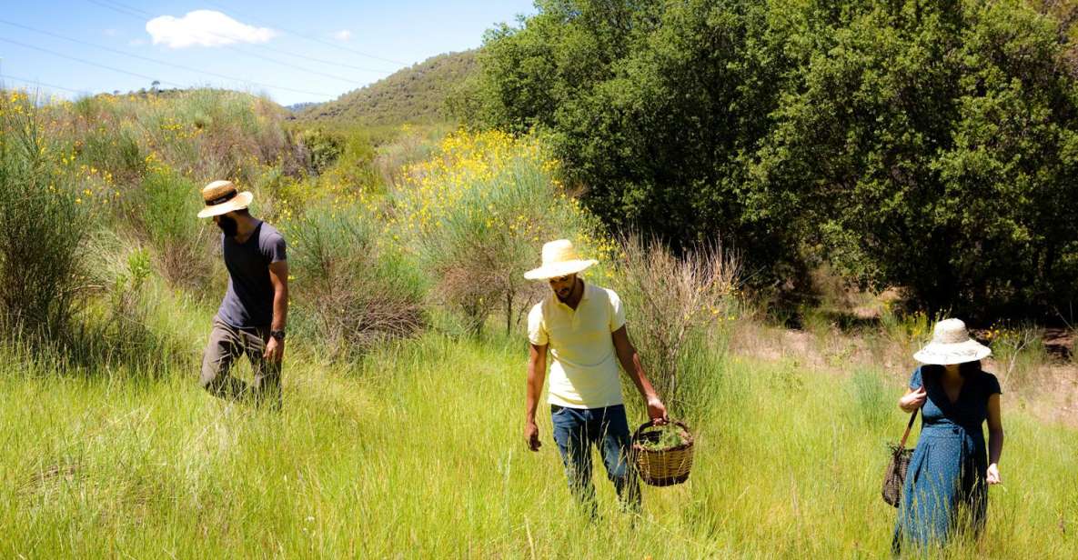 Wild Walk: Discover the Local Wild Flora - Booking and Cancellation
