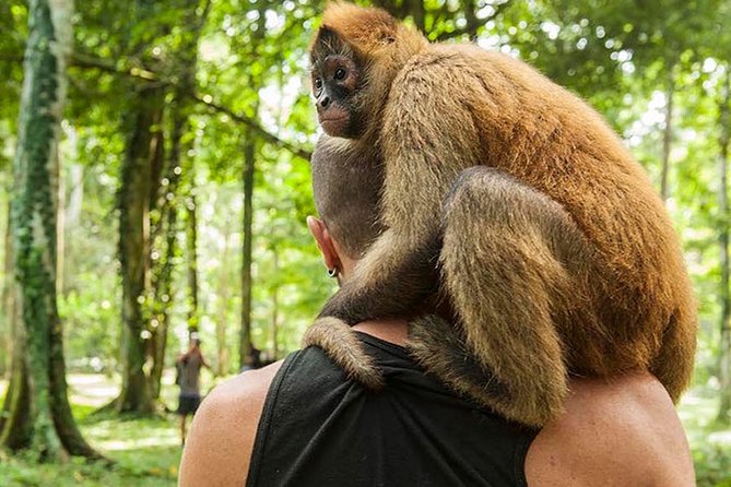 Wildlife Rescue Center and Punta Uva Beach & Jungle Hike - Jungle Hike Highlights