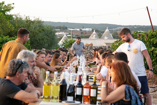 Wine Experience: Vineyard, Wines and Food - Meeting and Departure Location