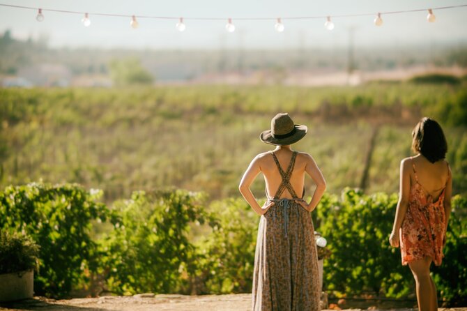 Wine Lovers - Punta Wine Experience - Wine Tasting Highlights
