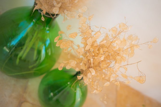 Wine Ostuni, Tour of an Apulian Winery With Traditional Lunch or Aperitivo - Cancellation Policy