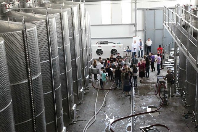 Wine Region And City Of Love Private Full Day Tour From Tbilisi - Inclusions and Benefits
