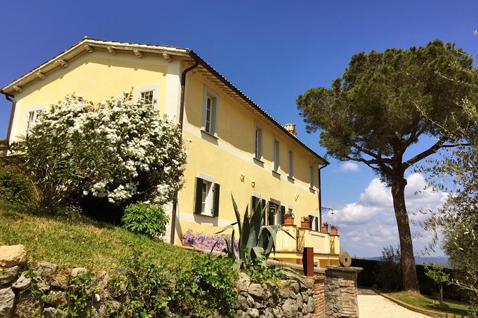 Wine Tasting and Winery Tour - Tour Highlights and Features