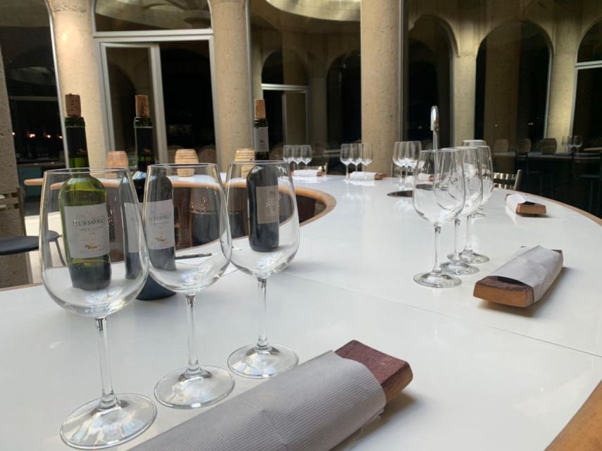 Wine Tour Maipo Valley - Unique Features of the Tour