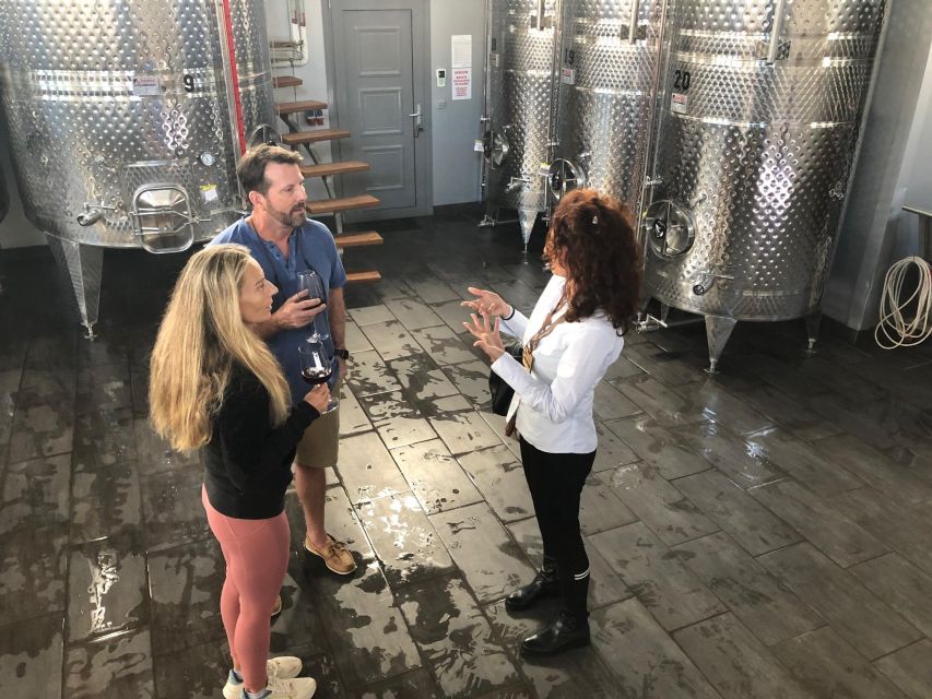 Wine Tour & Tasting in an Organic Winery in Arcadia, Greece - Organic Winery Heritage