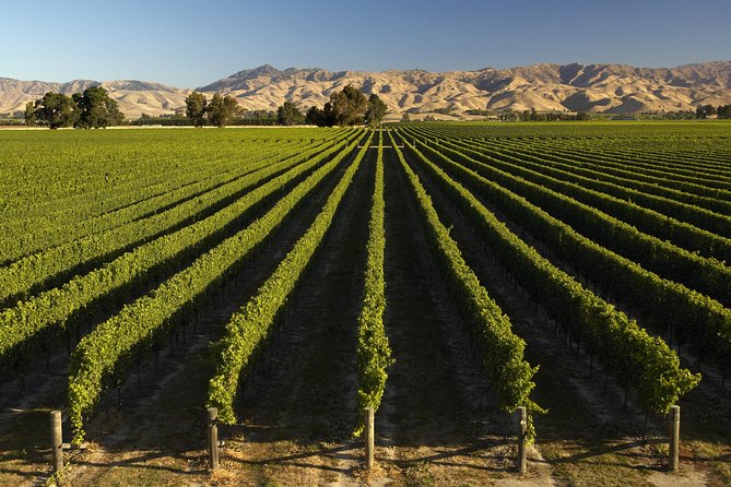 Wine Trail and Christchurch City Day Tour - Itinerary Highlights