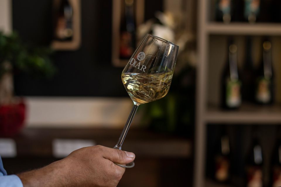 Winery Tour and Tasting of Sicilian Organic Wines in Marsala - Booking Information