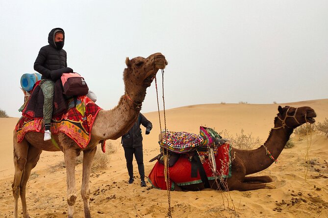 Wonderlust Desert & Camel Safari With Rumi Caravan of Thar Desert - Highlights of the Experience