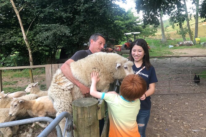 Wool Sheep Farm Experience With Handmade Wool Hat in New Zealand - Location and Meeting Details