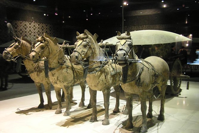 Xian in One Day: Day Trip From Shanghai by Air - Terra-Cotta Warriorrs & Horses - Transportation and Inclusions